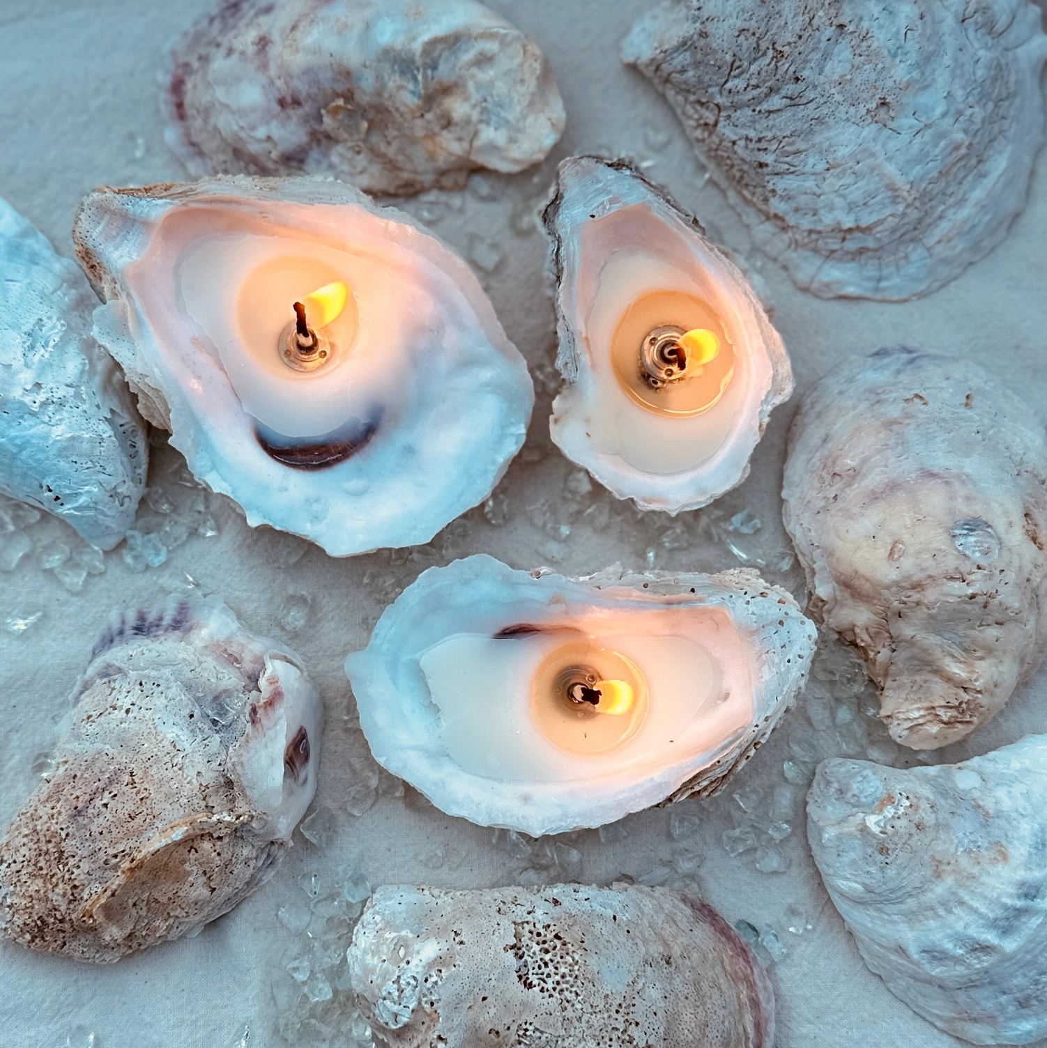 Pacific Tide Ocean Oyster Candle